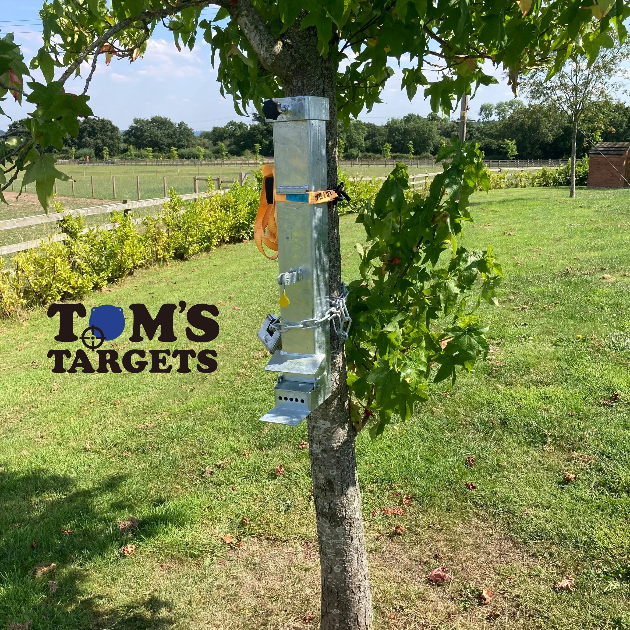 Squirrel Feeder