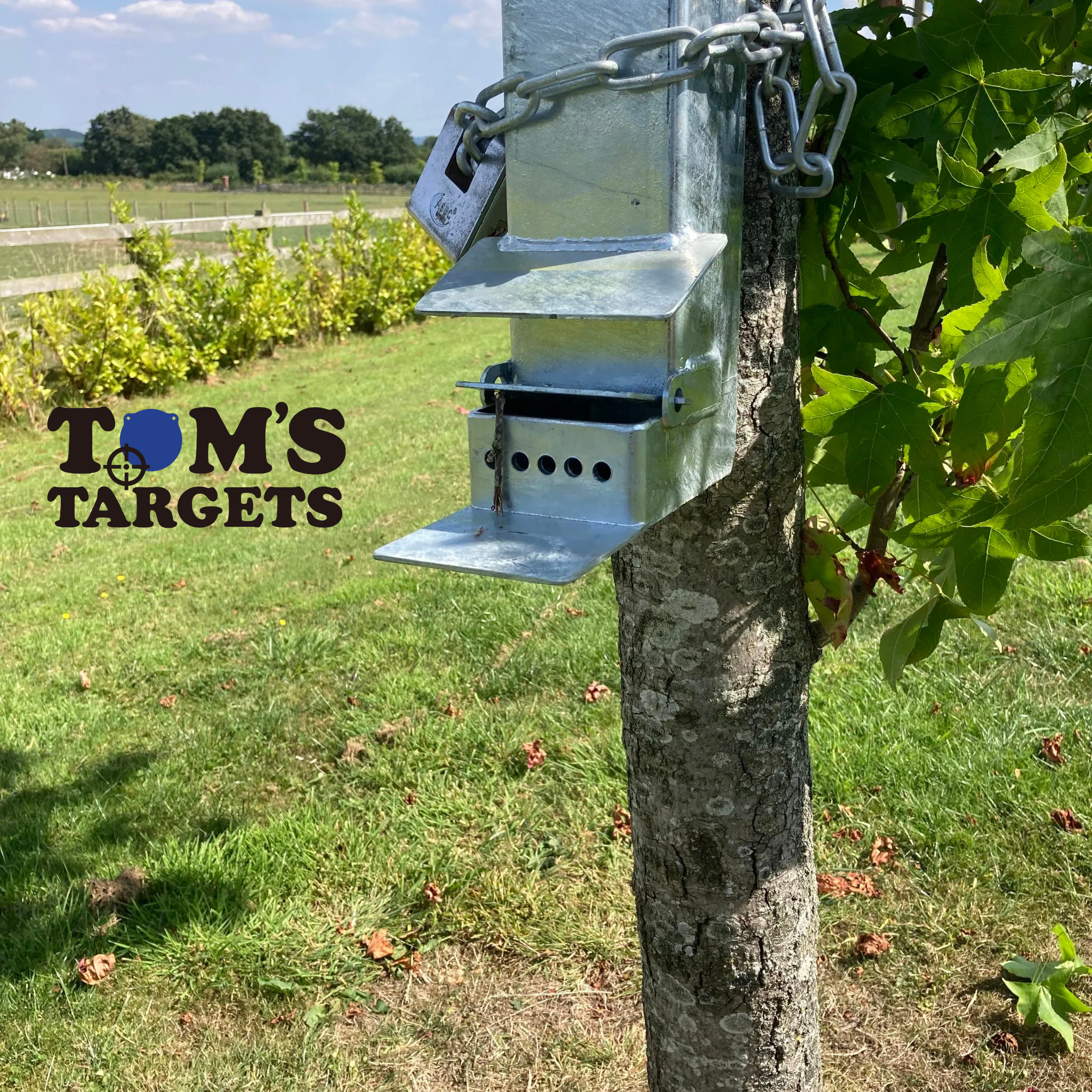 Squirrel Feeder
